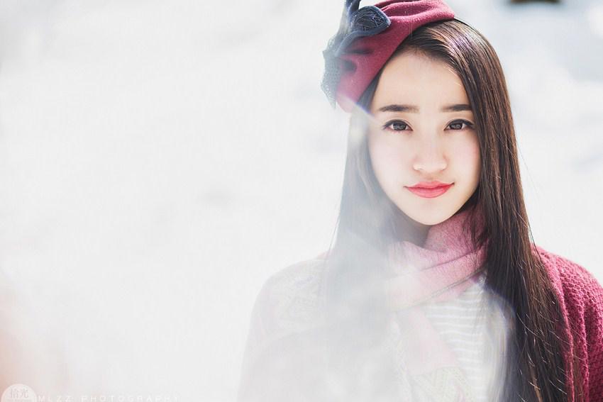 我喜爱的动物作文